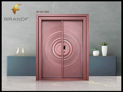 Steel Door Model 1